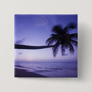 Lone palm tree at sunset, Coconut Grove beach 3 2 Inch Square Button