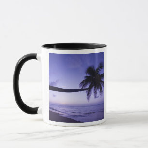 Lone palm tree at sunset, Coconut Grove beach 3 Mug