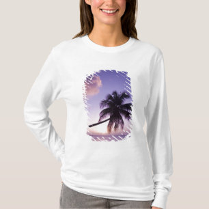 Lone palm tree at sunset, Coconut Grove beach T-Shirt