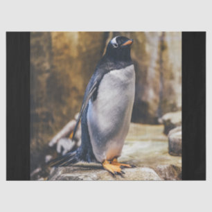 lone penguin tissue paper