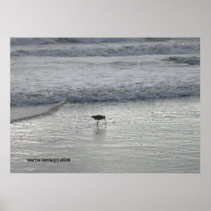 Lone Sandpiper at Watsonville Beach Poster