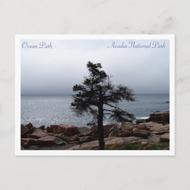 Lone Sentinel on the Ocean Path Postcard (Front)