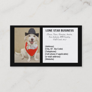 LONE STAR ANY BUSINESS BUSINESS CARD