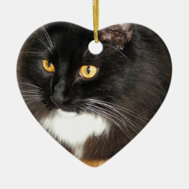 Lone Star Cat Perching on a Table, photograph Ceramic Ornament (Front)