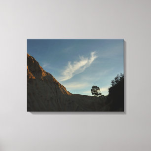 Lone Torrey Pine California Sunset Landscape Canvas Print