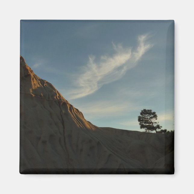 Lone Torrey Pine California Sunset Landscape Magnet (Front)