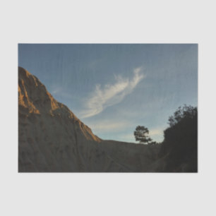 Lone Torrey Pine California Sunset Landscape Tissue Paper