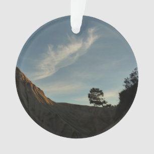 Lone Torrey Pine Californie Sunset Paysage
