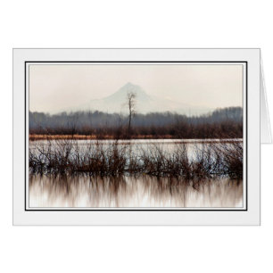 Lone Tree