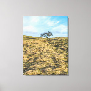 Lone tree in the countryside view canvas print