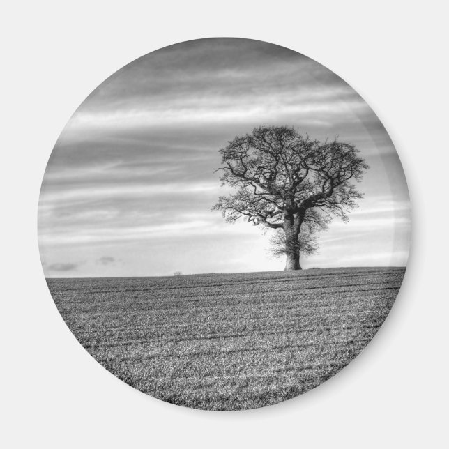 Lone Tree Magnet (Front)