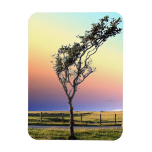 LONE TREE MAGNET