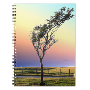LONE TREE   NOTEBOOK
