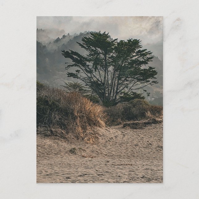 Lone Tree on Misty Hillside Peaceful Landscape Postcard (Front)