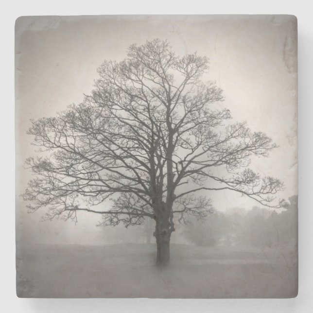 Lone Tree Stone Coaster (Front)