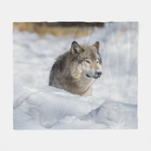 Lone Wolf in Snow Fleece Blanket