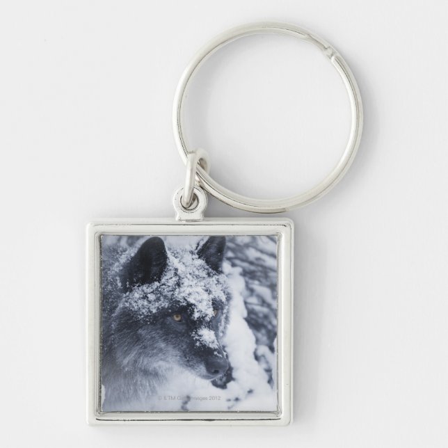 Lone wolf in snow keychain (Front)