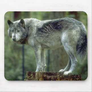 Lone Wolf Mousepad