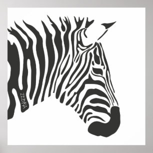 Lone Zebra Poster