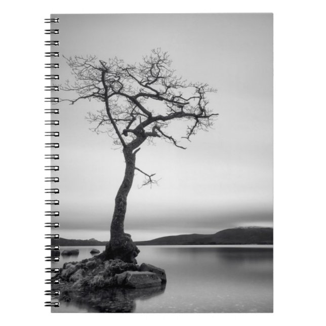 Lonely Bare Tree Notebook (Front)