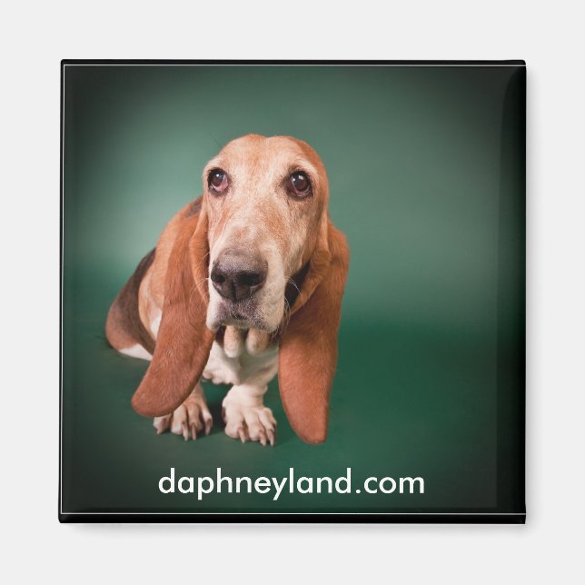 Lonely Basset Magnet (Front)