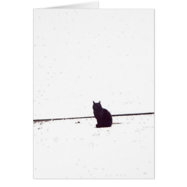 Lonely Cat (Front)