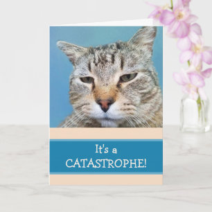 Lonely Cat Custom Miss You Card