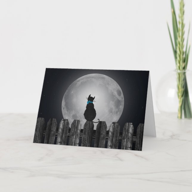 Lonely cat on fence card (Front)