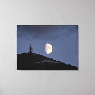 Lonely Companion Stretch Canvas Print