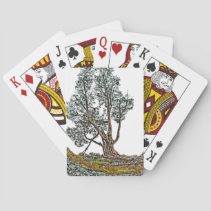 Lonely Cypress Playing Cards