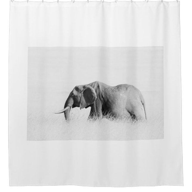 Lonely Elephant (High Key) (Front)