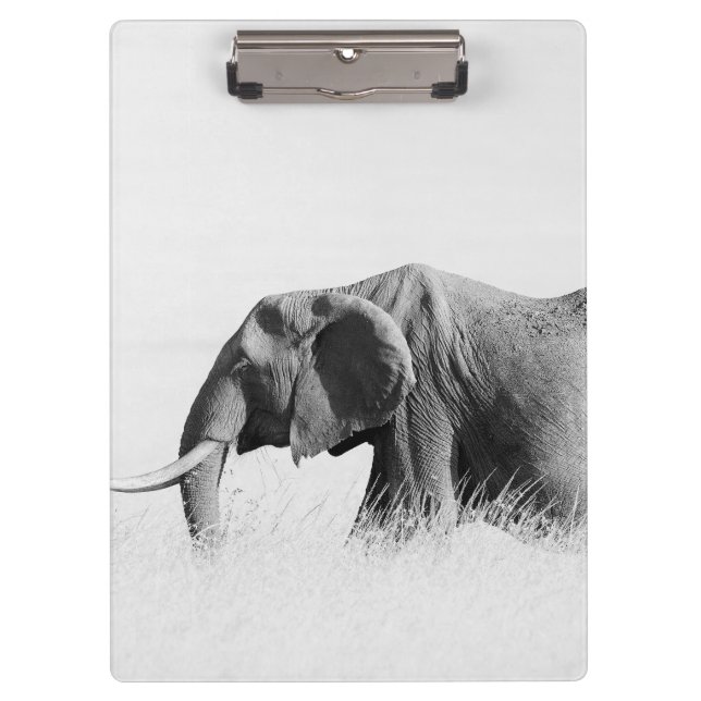 Lonely Elephant (High Key) Clipboard (Front)