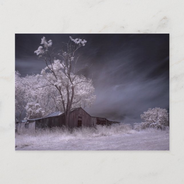 Lonely Farmhouse Postcard (Front)