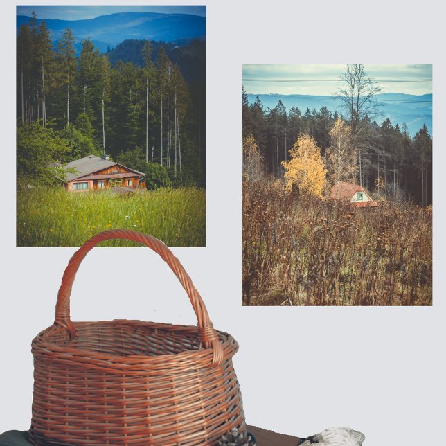 Lonely forest cabins under the mountains (Creator Uploaded)