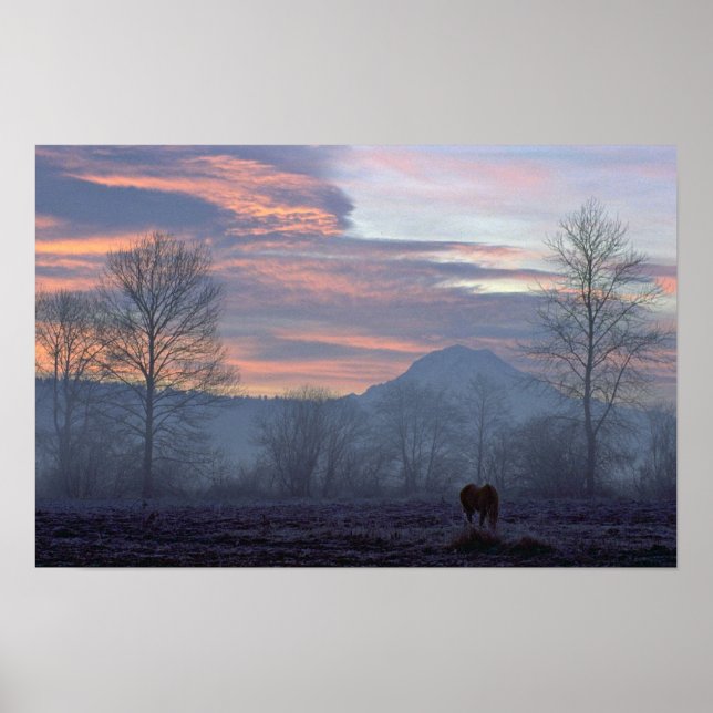 Lonely Horse Grazing Poster (Front)