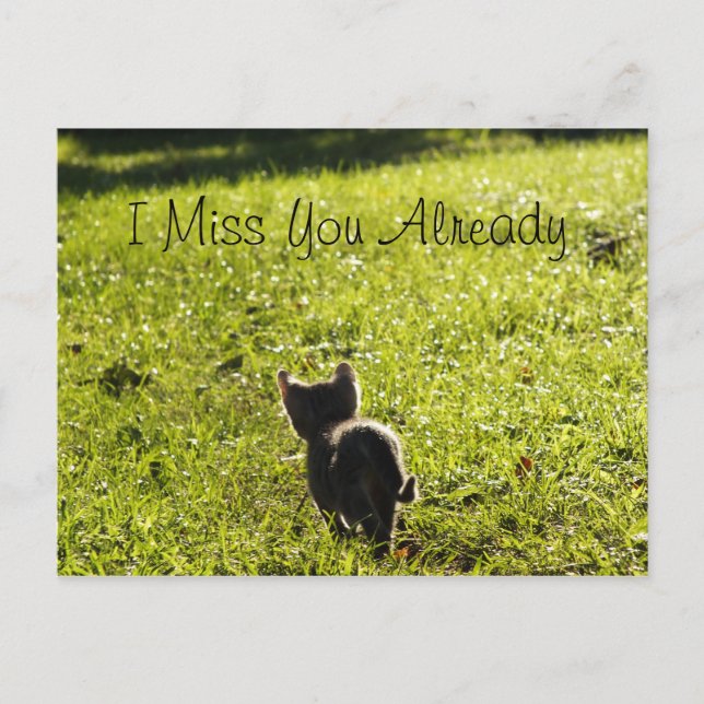 Lonely Kitten "Missing You" Postcard *Customizable (Front)