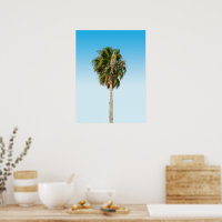 Lonely palm tree