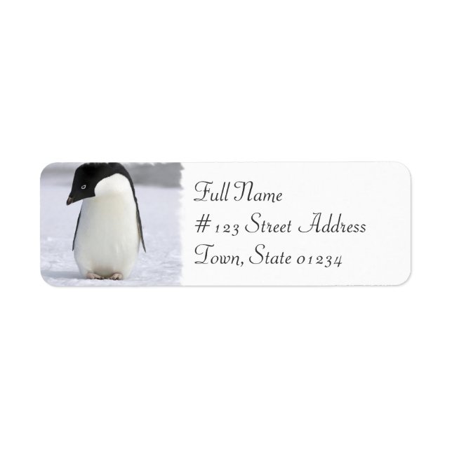 Lonely Penguin Adresse de retour Étiquette (Devant)
