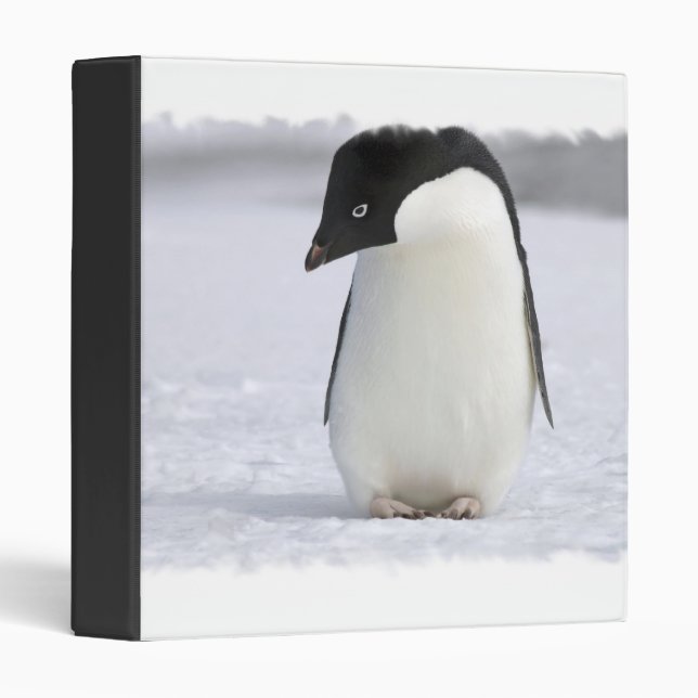 Lonely Penguin Binder (Front/Spine)