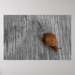 Lonely Snail Print