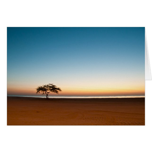 Lonely tree at sunrise in Kuwait (Front Horizontal)