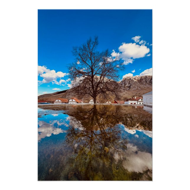 Lonely tree near water poster (Front)