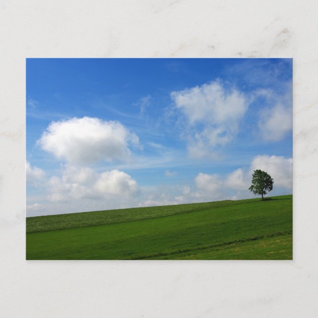 Lonely Tree - Postcard (Front)