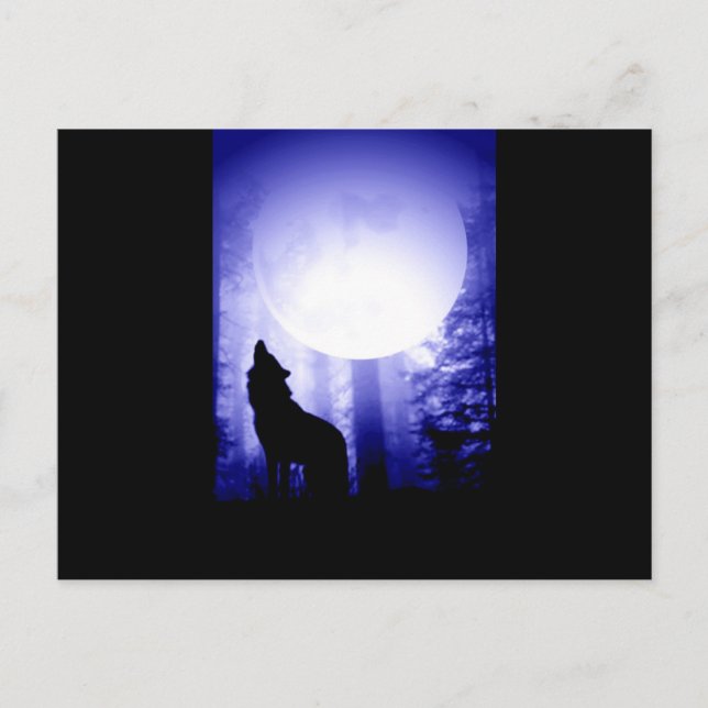 Lonely Wolf Howling at Moon Postcard (Front)