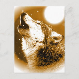 Lonely Wolf Howling at Moon Postcard