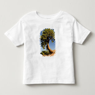 Lonesome Cedar, Deadhorse Point State Park, Toddler T-shirt