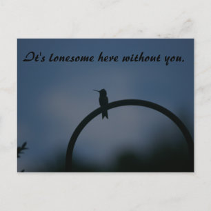 Lonesome Hummingbird postcard