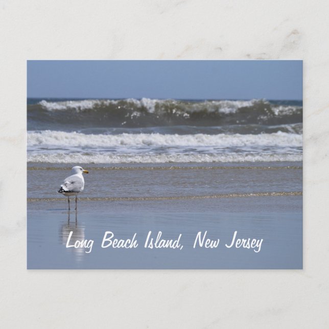 Long Beach Island, carte postale NJ (Devant)