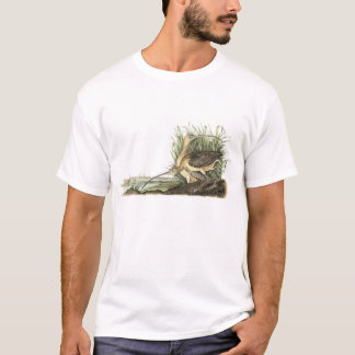 Long-billed Curlew by Audubon T-Shirt