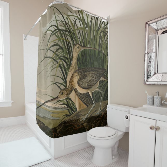 Long-billed Curlew from Audubon's Birds of America (In Situ)